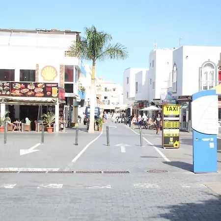 Pachi Alisios Playa Corralejo