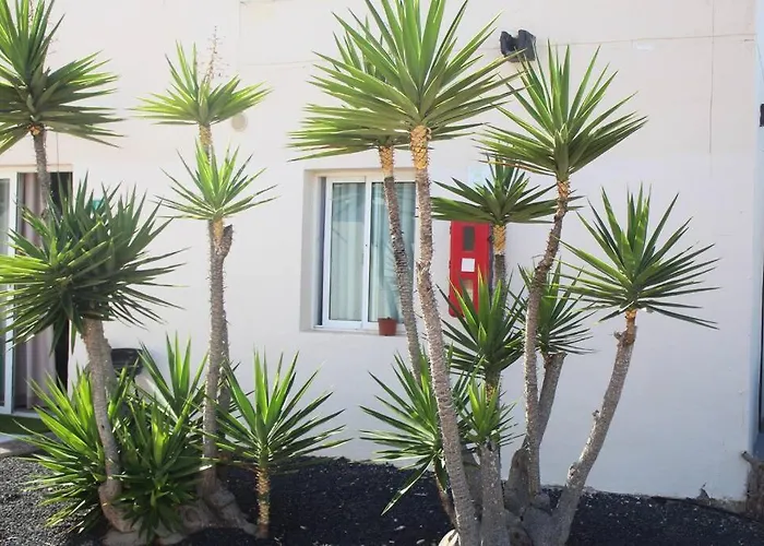 Pachi Alisios Playa Lejlighed Corralejo