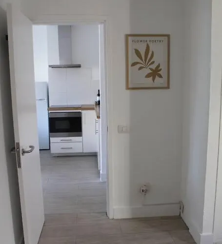 Pachi Alisios Playa Corralejo