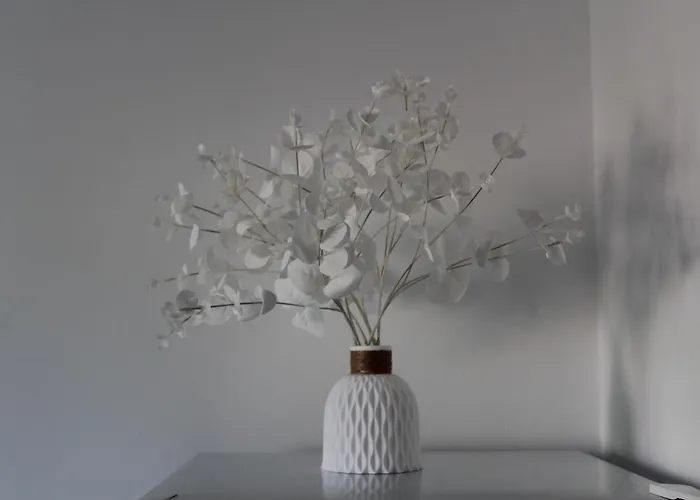 Pachi Alisios Playa Lejlighed